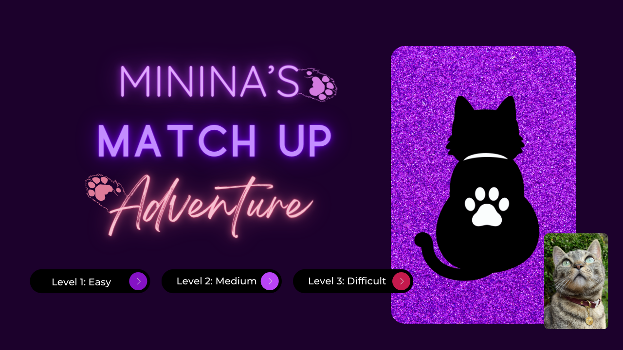 Minina's Matchup Adventure Design